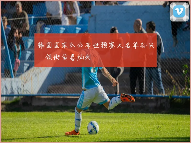 韩国国家队公布世预赛大名单孙兴慜领衔黄喜灿列