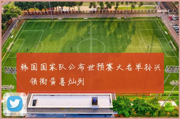 韩国国家队公布世预赛大名单孙兴慜领衔黄喜灿列