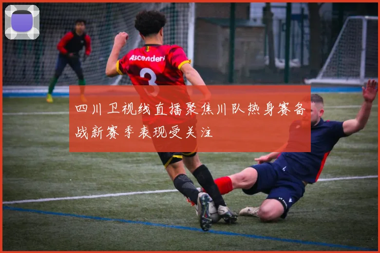 四川卫视线直播聚焦川队热身赛备战新赛季表现受关注