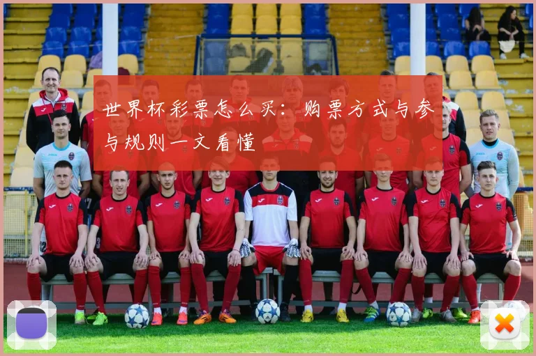 世界杯彩票怎么买：购票方式与参与规则一文看懂