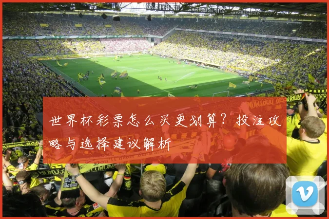 世界杯彩票怎么买更划算？投注攻略与选择建议解析
