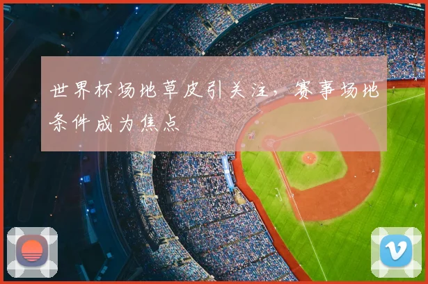 世界杯场地草皮引关注，赛事场地条件成为焦点