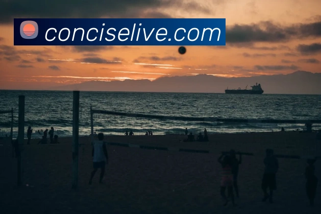 kaiyun开云官方网站APP 封面图